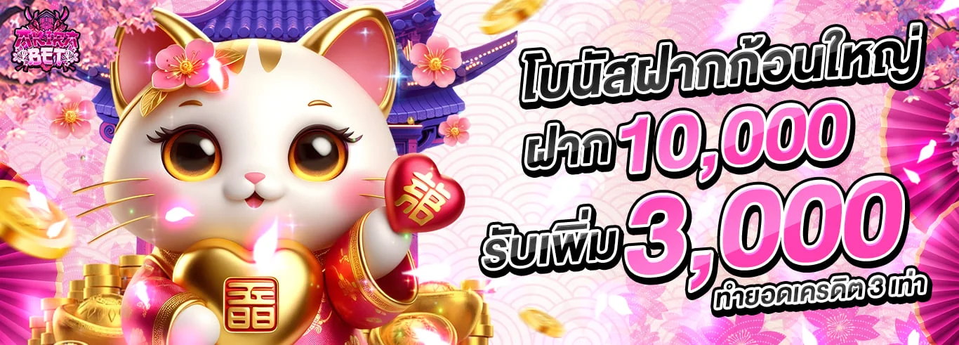 Akirabet เว็บตรง คาสิโน บาคาร่า สล็อต ฝากถอนออโต้
